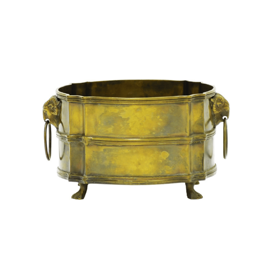 Base Bronce Cabeza Bufalo