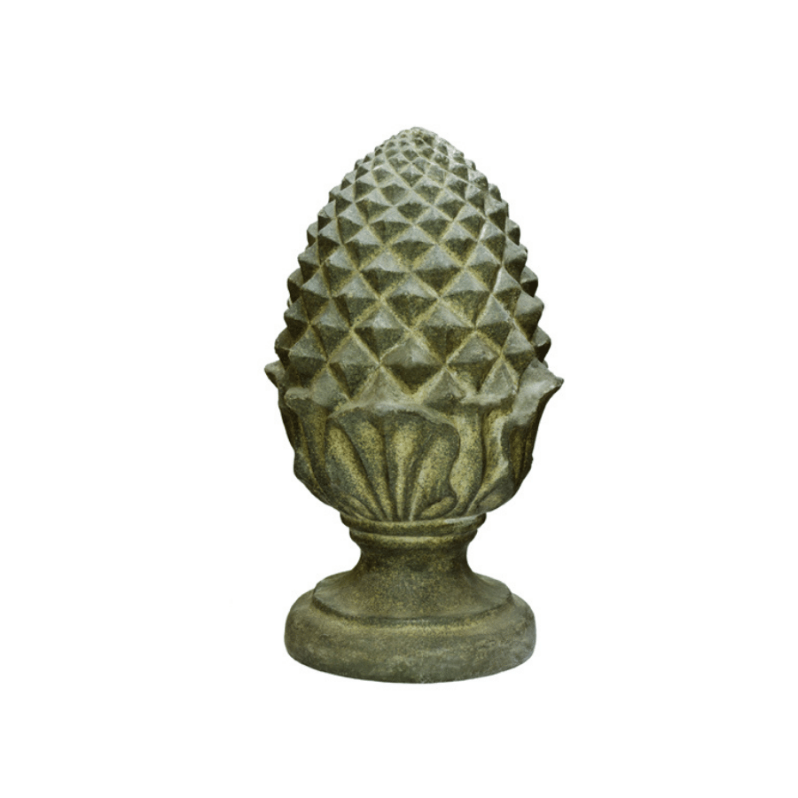 Piñonate Noni Fibra (Se Pinta)